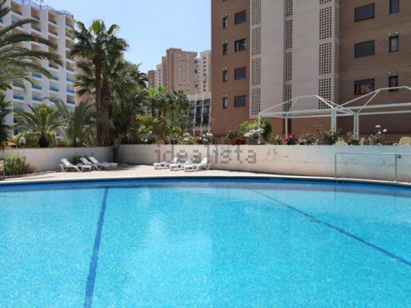 Appartement Vue Sur Mer Avenue De L'Europe Benidorm Eksteriør billede