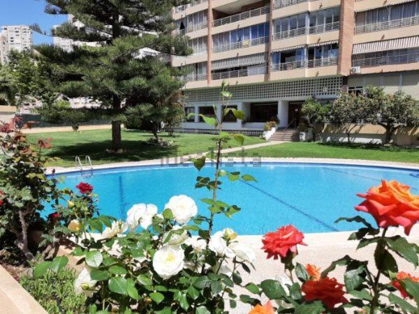 Appartement Vue Sur Mer Avenue De L'Europe Benidorm Eksteriør billede