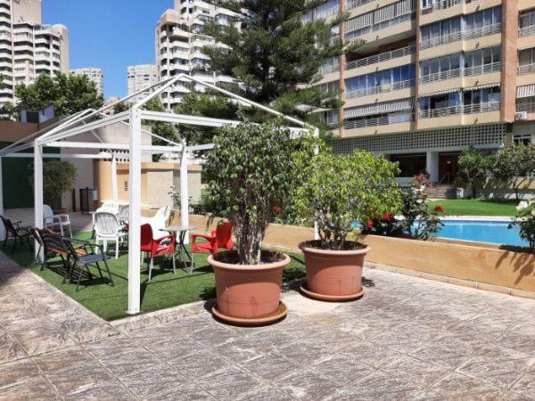 Appartement Vue Sur Mer Avenue De L'Europe Benidorm Eksteriør billede